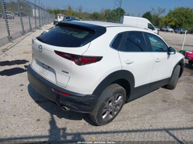 2020 MAZDA CX-30 3MVDMBCL9LM106163 Photo 3