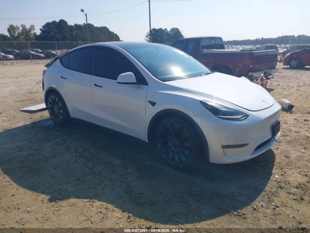 2022 TESLA MODEL Y 7SAYGDEF0NF399703 Photo 0