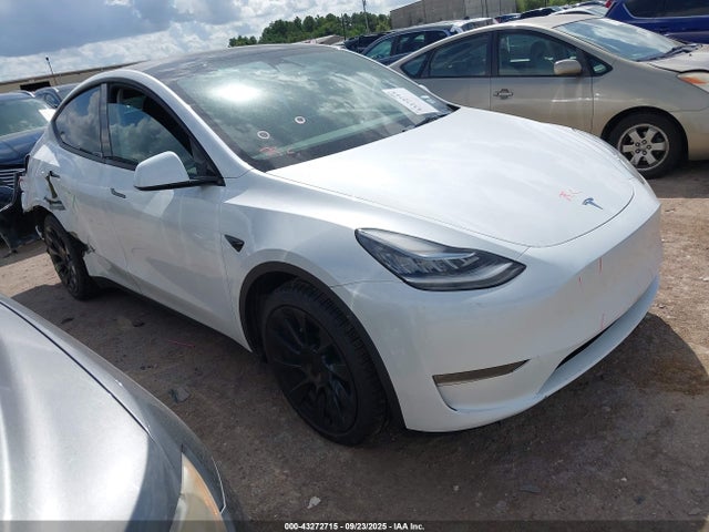2023 TESLA MODEL Y 7SAYGDEE9PA103505 Photo 0