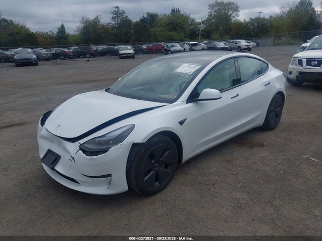 2023 TESLA MODEL 3 5YJ3E1EA2PF653592 Photo 1