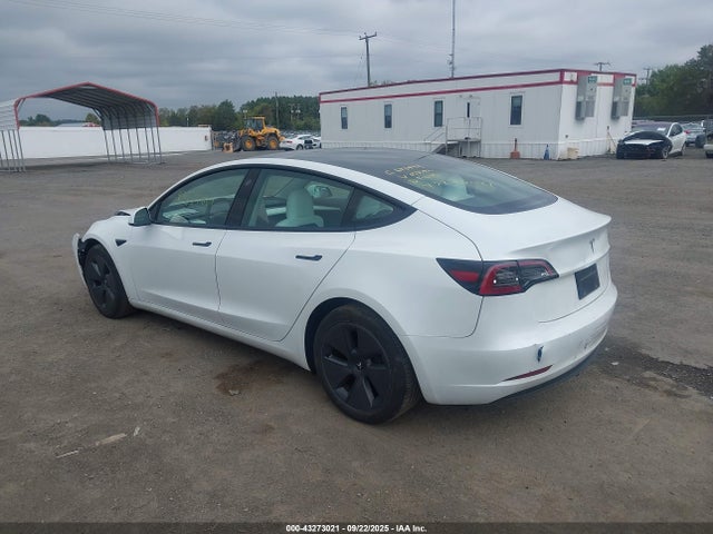 2023 TESLA MODEL 3 5YJ3E1EA2PF653592 Photo 2
