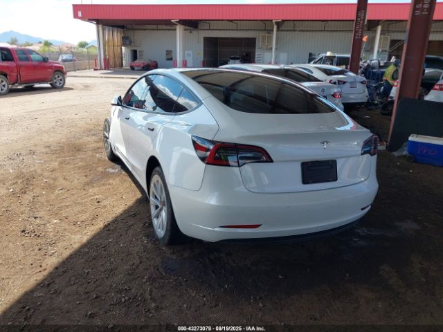 2022 TESLA MODEL 3 5YJ3E1EA6NF257498 Photo 2