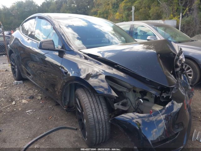 2023 TESLA MODEL Y 7SAYGAEE9PF894944 Photo 0