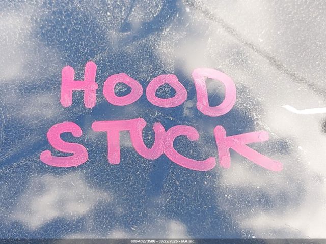 2023 TESLA MODEL Y 7SAYGAEE9PF894944 Photo 9