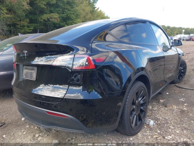 2023 TESLA MODEL Y 7SAYGAEE9PF894944 Photo 3