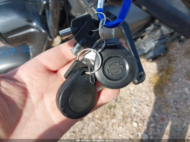 2010 HARLEY-DAVIDSON FLSTF 1HD1BX511AB038317 Photo 10