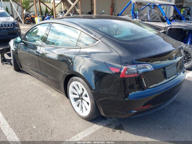2023 TESLA MODEL 3 5YJ3E1EA7PF465117 Photo 2