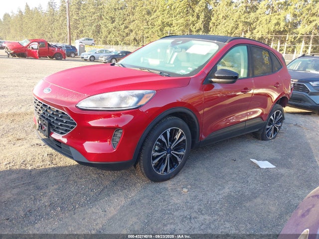Ford hev/phev 2021 1FMCU9BZ6MUB20249 Image 2