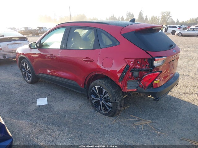 Ford hev/phev 2021 1FMCU9BZ6MUB20249 Image 3