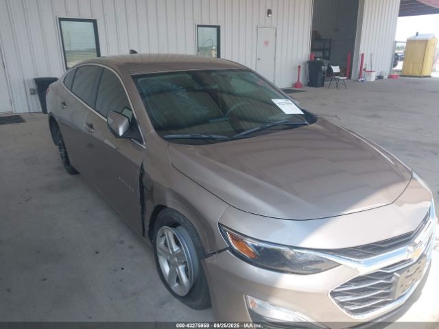 2024 CHEVROLET MALIBU 1G1ZB5ST8RF104471