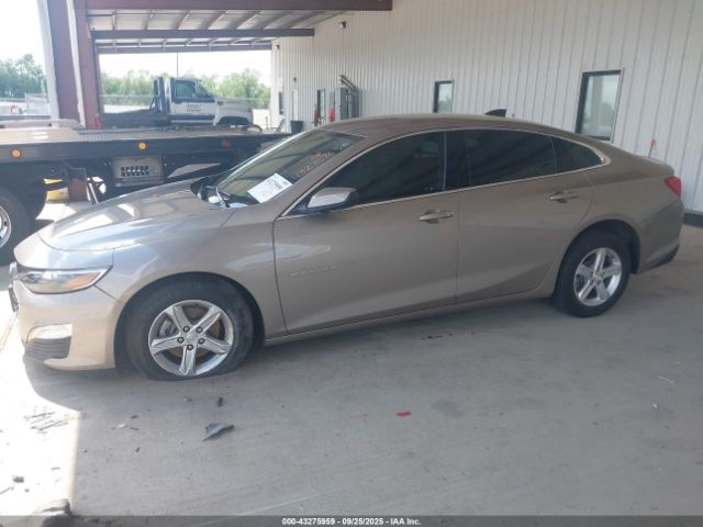 2024 CHEVROLET MALIBU 1G1ZB5ST8RF104471 Photo 1