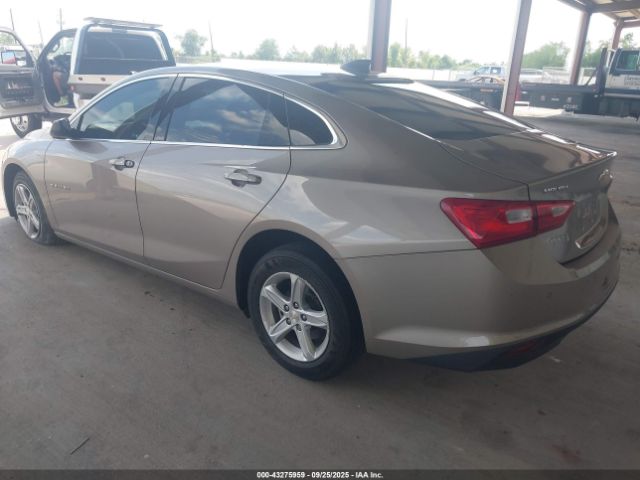 2024 CHEVROLET MALIBU 1G1ZB5ST8RF104471 Photo 2