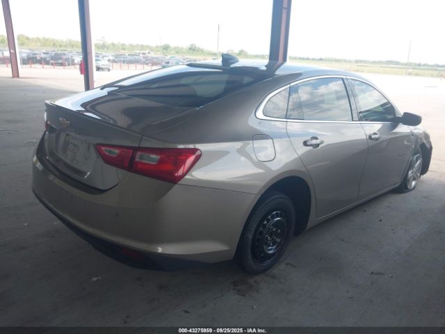 2024 CHEVROLET MALIBU 1G1ZB5ST8RF104471 Photo 3