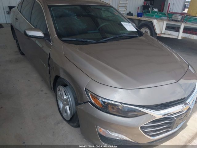 2024 CHEVROLET MALIBU 1G1ZB5ST8RF104471 Photo 5