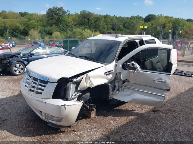 2010 CADILLAC ESCALADE EXT 3GYVKMEF5AG178028 Photo 1