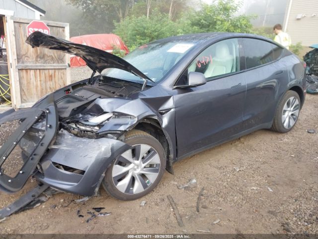 2023 TESLA MODEL Y 7SAYGDEE6PA175908 Photo 1