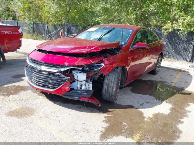 2025 CHEVROLET MALIBU 1G1ZG5ST8SF100945 Photo 5