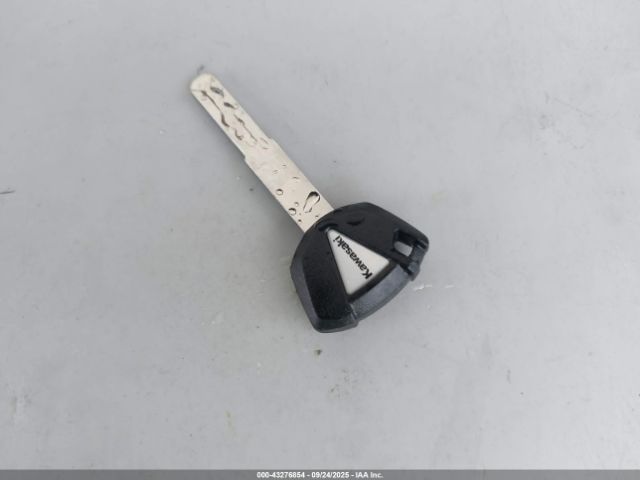 2025 KAWASAKI EX500 ML5EXGG14SDA71378 Photo 10