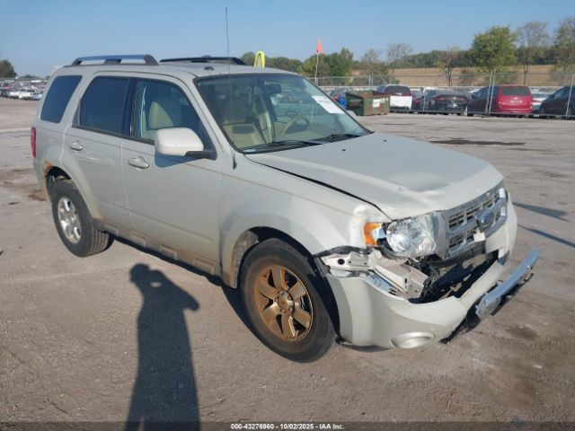 2009 FORD ESCAPE 1FMCU94G99KB00902