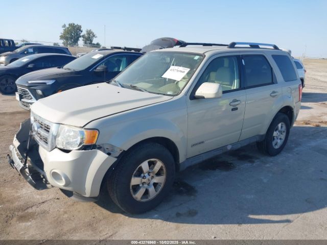 2009 FORD ESCAPE 1FMCU94G99KB00902 Photo 1