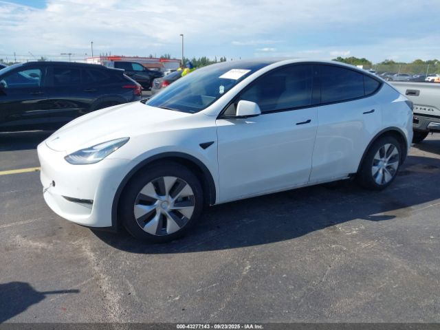 2021 TESLA MODEL Y 5YJYGDEE4MF252819 Photo 1
