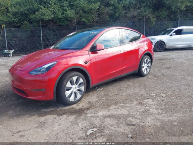 2023 TESLA MODEL Y 7SAYGDEE5PA186110 Photo 1