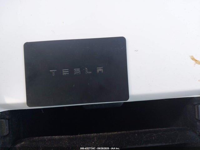 2019 TESLA MODEL 3 5YJ3E1EA3KF417932 Photo 10