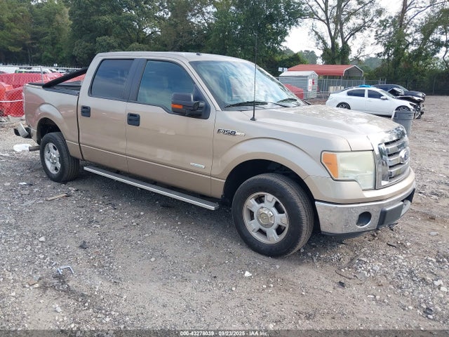 2011 FORD F-150 1FTFW1CT3BFB75055