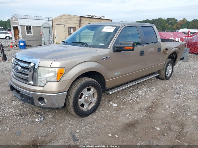 2011 FORD F-150 1FTFW1CT3BFB75055 Photo 1