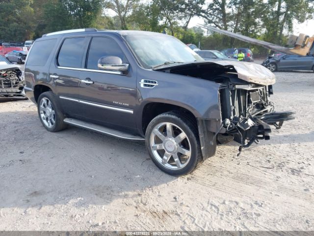 2010 CADILLAC ESCALADE 1GYUKBEF4AR152794