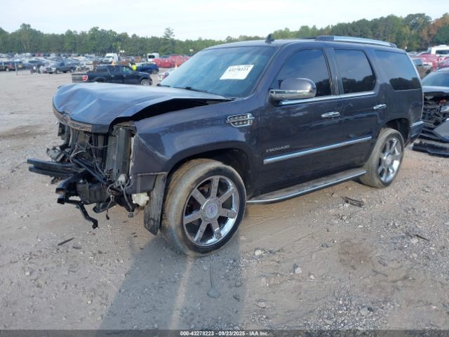 2010 CADILLAC ESCALADE 1GYUKBEF4AR152794 Photo 1