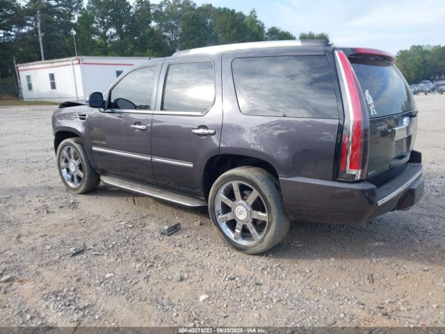 2010 CADILLAC ESCALADE 1GYUKBEF4AR152794 Photo 2