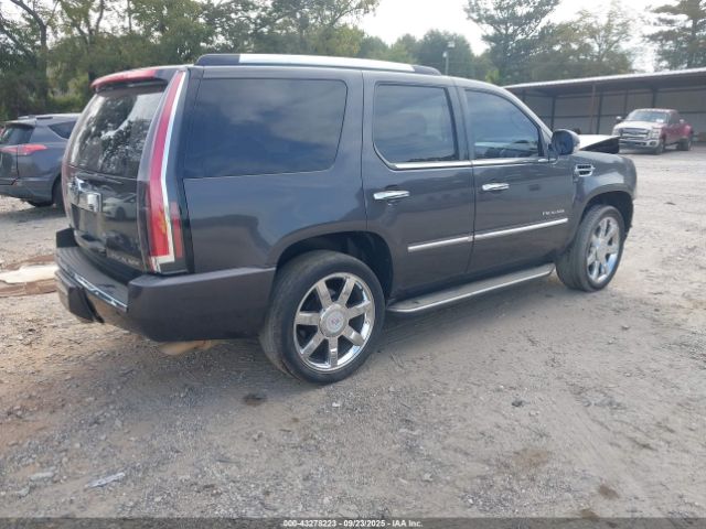 2010 CADILLAC ESCALADE 1GYUKBEF4AR152794 Photo 3