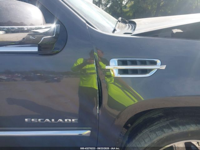 2010 CADILLAC ESCALADE 1GYUKBEF4AR152794 Photo 5