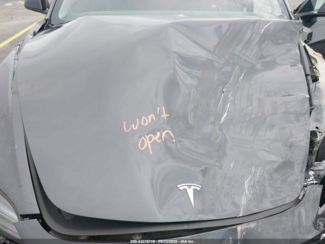 2025 TESLA MODEL 3 5YJ3E1EA8SF030941 Photo 9