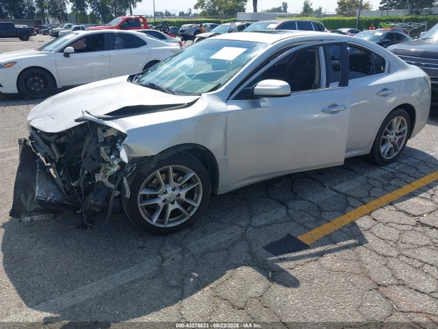 Nissan Maxima 2014 1N4AA5AP2EC440131 Image 2