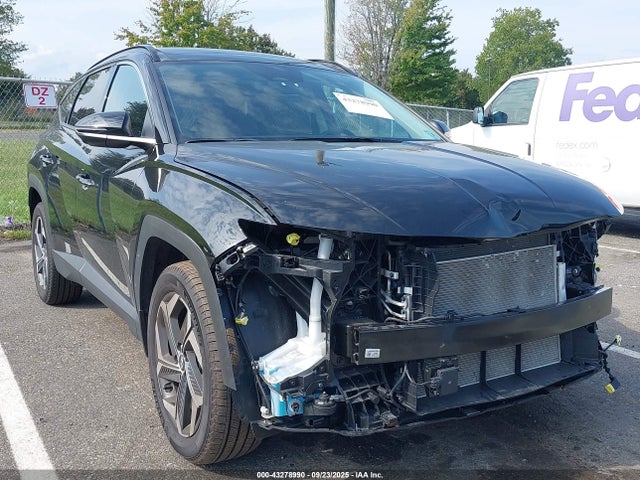 2024 Hyundai Tucson Limited მანქანა იყიდება აუქციონზე, vin: 5NMJECDEXRH380300, აუქციონის ნომერი: 43278990