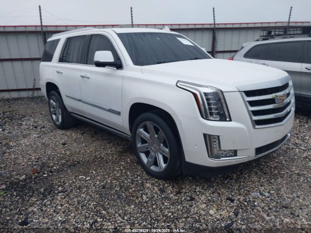 2017 CADILLAC ESCALADE 1GYS4CKJ9HR299624