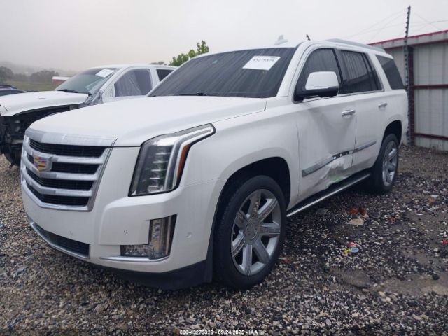 2017 CADILLAC ESCALADE 1GYS4CKJ9HR299624 Photo 1