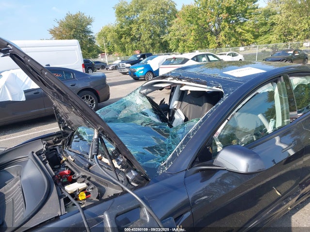 2025 TESLA MODEL 3 5YJ3E1EA1SF882970 Photo 5