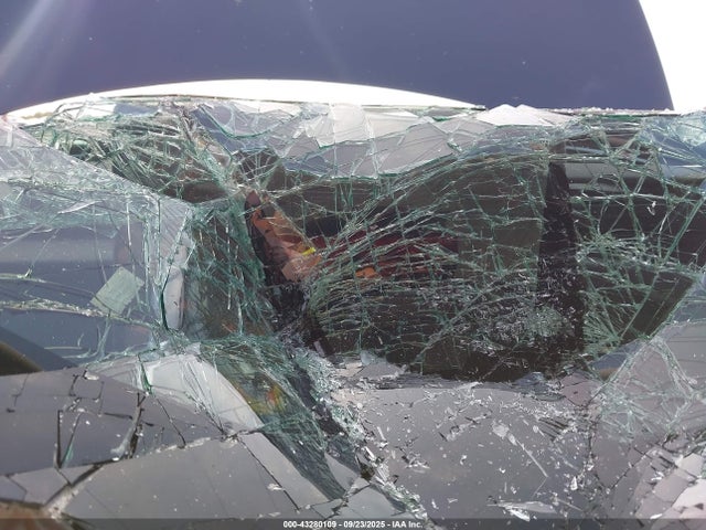 2025 TESLA MODEL 3 5YJ3E1EA1SF882970 Photo 6