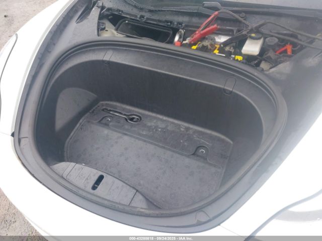 2019 TESLA MODEL 3 5YJ3E1EB0KF494508 Photo 9