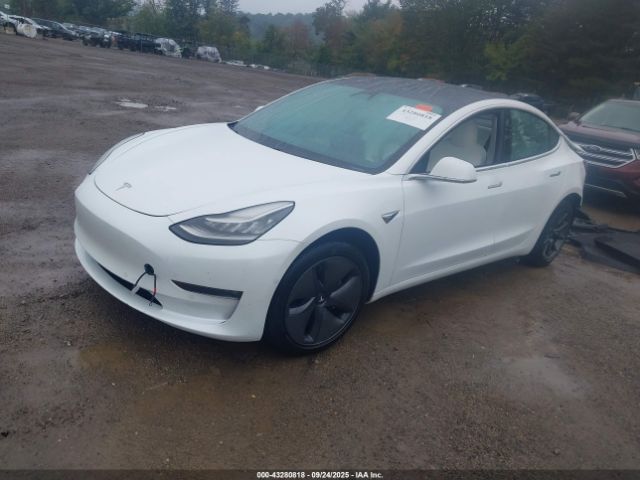 2019 TESLA MODEL 3 5YJ3E1EB0KF494508 Photo 1