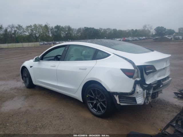 2019 TESLA MODEL 3 5YJ3E1EB0KF494508 Photo 2