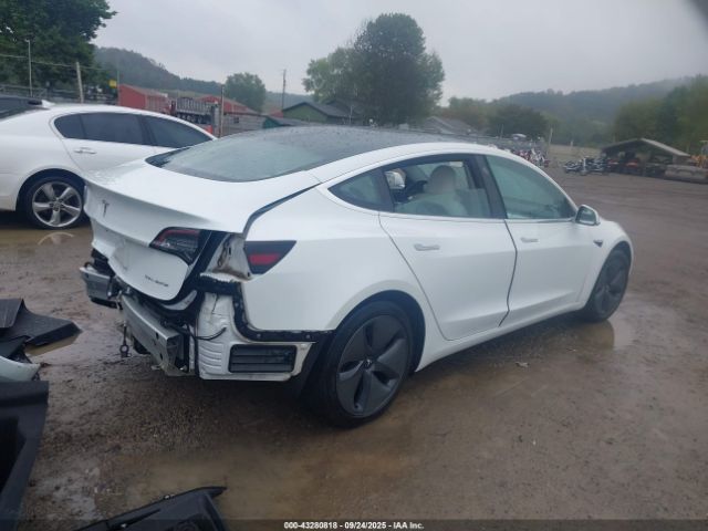 2019 TESLA MODEL 3 5YJ3E1EB0KF494508 Photo 3