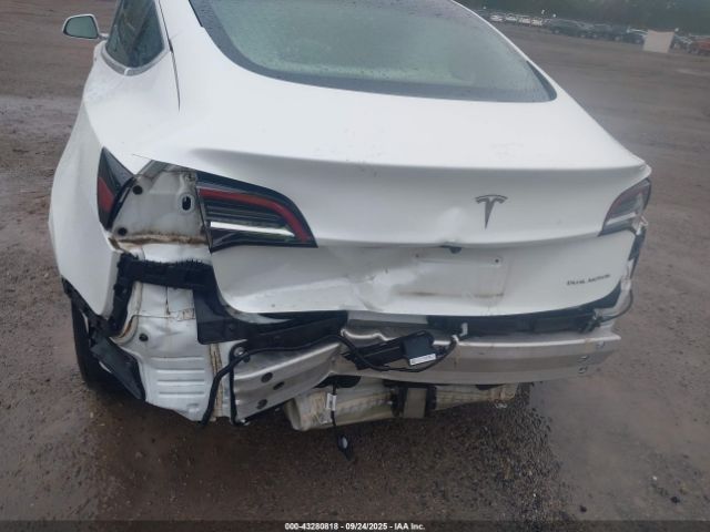 2019 TESLA MODEL 3 5YJ3E1EB0KF494508 Photo 5