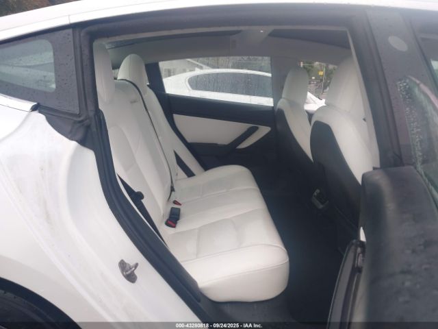 2019 TESLA MODEL 3 5YJ3E1EB0KF494508 Photo 7