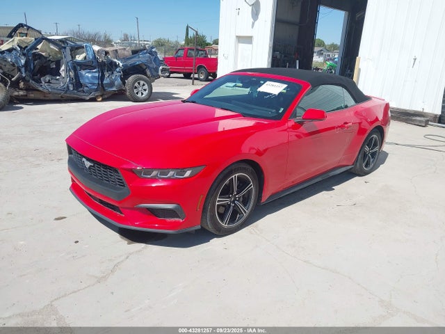 Ford 4v 2024 1FAGP8UH7R5113054 Image 2