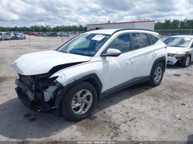 2023 HYUNDAI TUCSON 5NMJB3AE7PH285395 Photo 1