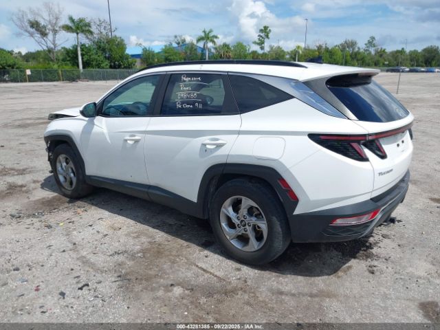 2023 HYUNDAI TUCSON 5NMJB3AE7PH285395 Photo 2